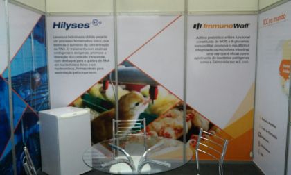 Pingoarte - Comunicao Visual - Chapec/SC - ADESIVO STAND INTERNO